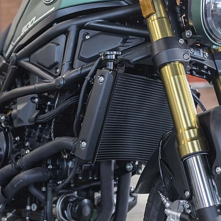 Мотоцикл Benelli Leoncino 800 (зеленый/черный)